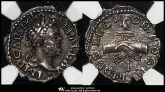Roman Empire ローマ帝国 AR Denarius Clodius Albinus クラウディウス・アルビヌス AD195~197...