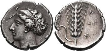 Lucania, Metapontum Nomos circa 400-340, AR 22 mm, 7.75 g. Head of Demeter l., hair bound in sphendone, barley grain at...