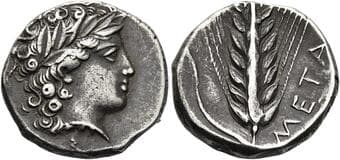 Lucania, Metapontum Nomos circa 400-340, AR 20 mm, 7.73 g. Laureate head of Apollo r.; AΠOΛ on base of neck...