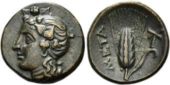 Lucania, Metapontum Bronze circa 300-275, Æ 16 mm, 2.54 g. Ivy-wreathed head of Dionysus l. Rev. META Barley-ear; in...