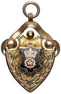 D.M.L. & N.E.D.C.C.C. , 1899, VF 9ct gold & enamel fob medal, shield design with top scroll and centre enamel & gold...