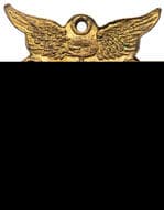 Welcome To The American Fleet - Australian Celebrations, 1908, aUNC Gilt bronze medallion, 22x27mm, with integral...