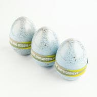 Elizabeth II, RAM - Aussie Dino Discovery Egg, Five Cents - Two Dollars, 2022, UNC Aussie Dino Discovery Egg...