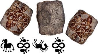 Punch Marked Coin, Vidarbha Janapada (600-300 BC), Silver 1/2 Karshapana, Archaic period, ABCC type, Obv: four punches...