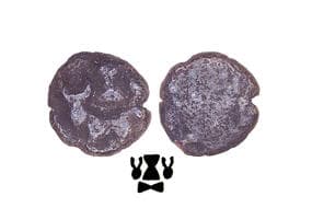 India, Magadha Janapadha, Nanda Dynasty (c.345-321 BC), Silver Ardha Masakas, One Ratti weight standard or 1/32...
