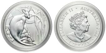 Elizabeth II, RAM - Kangaroo Series, Impressions of Australia, One Dollar, 2022, UNC 1oz silver 99.99% frosted...