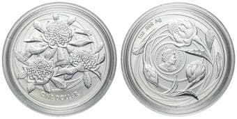 Elizabeth II, RAM - Wildflowers of Australia, Waratah, One Dollar, 2022, UNC 1oz silver, brilliant uncirculated one...