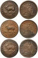 A.309a, A.309b & A.309c - Whitty & Brown, Sydney, NSW, Penny, VG - gF Copper penny (3), size 34mm, undated, brown...