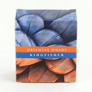 Ascension Island, Charles III, Oriental Dwarf Kingfisher, One Dollar, 2025, FDC 1oz silver proof, selectively...